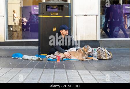 Ein Mann und sein Hund bettelten auf der Lord Street im Stadtzentrum von Liverpool Stockfoto