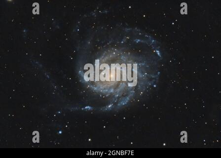 Die Pinwheel Galaxy (auch bekannt als Messier 101, M101 oder NGC 5457), eine frontale Spiralgalaxie im Sternbild Ursa Major Stockfoto