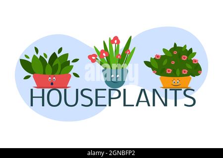 Vektorgrafik „Hauspflanzen“. Zimmerpflanzen in Töpfen mit Augen und Lächeln. Satz von Haus Indoor Pflanze Vektor Cartoon Doodle Stock Vektor