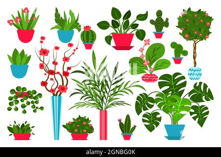 Stellen Sie Pflanzen und Blumen im Innenbereich in Töpfe. Landschaftsgestaltung zu Hause. Dekor für die Wohnung und den Garten. Innenräume Innenräume Pflanzen. vektor-Illustrationen Stock Vektor