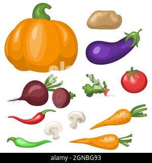Eine Reihe von Gemüse. Flache Vektor-Illustration. Kartoffeln isoliert, Tomaten, Pilze, Kürbis, Paprika, Rüben, Radieschen, Karotten, isoliert auf Whi Stock Vektor