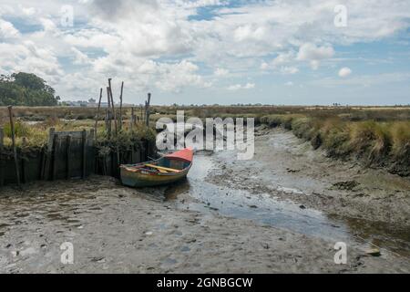 Alte alte alte alte Boote, die in den Salzwiesen, Feuchtgebieten der Aveiro Lagune, Naturschutzgebiet, Portugal zurückgelassen wurden. Stockfoto