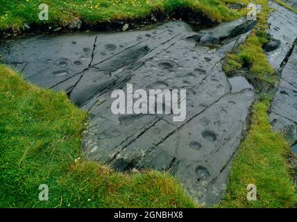 NNE of Kilmichael Glassary (2) prähistorische Felskunst, Argyll, Schottland, Großbritannien, einschließlich schlichter Becher, cup-and-Ring-Markierungen, Rillen und ein möglicher Fuß Stockfoto