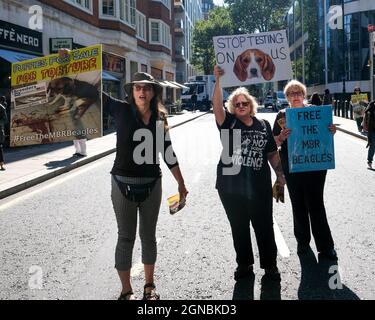 Home Office, Marsham Street, London, Großbritannien. September 2021. Protest vor dem Innenbüro für die MBR Beagles und gegen Tierversuche. Kredit: Matthew Chattle/Alamy Live Nachrichten Stockfoto