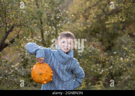 Deformierte hässliche orangefarbene Kürbisse in den Händen eines Kindes. Stockfoto