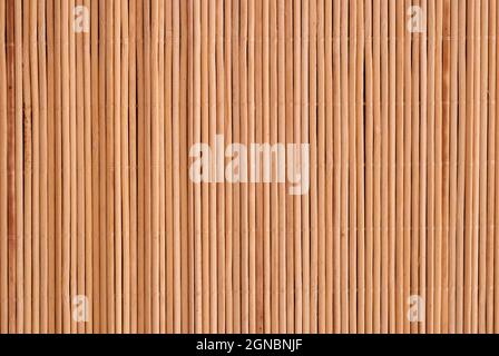 Hintergrund von united Bamboo Sticks für Tapete, Textur, für Text Stockfoto