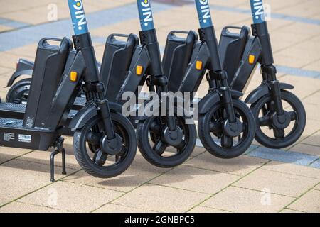 24. September 2021, Mecklenburg-Vorpommern, Greifswald: E-Scooter des Anbieters mir Solutions GmbH stehen vor dem Bahnhof in Greifswald.der Rostocker Anbieter startet am selben Tag mit einem Angebot von 100 E-Scootern, die in der ganzen Stadt verteilt sind.für Greifswald, Die Stadt erlaubte ein maximales Kontingent von 300 E-Scootern.gäbe es in Zukunft mehrere Anbieter, würde die Anzahl pro Anbieter entsprechend reduziert.für die Altstadt war die maximale Anzahl an E-Scootern auf 100 begrenzt.Dies ist ein sogenanntes Free-Floating-Angebot - man kann den E-Scooter überall parken Stockfoto