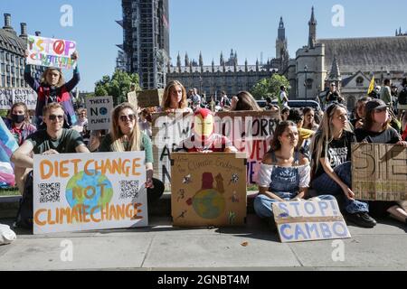 Westminster, London, Großbritannien. September 2021. Aktivisten aus vielen verschiedenen Gruppen nehmen am von Fridays for Future organisierten globalen Klimabrek am Parliament Square und in der Umgebung von Westminster Teil. Kredit: Imageplotter/Alamy Live Nachrichten Stockfoto