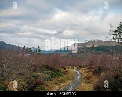 Ben Lomond vom West Highland Way in der Nähe von Rowardennan am Ostufer des Loch Lomond, Southern Highlands of Scotland. Stockfoto