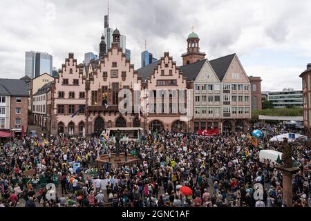 Frankfurt, Deutschland. 24 2021. September: Tausend Menschen nehmen am "Global Climate Strike" der Bewegung "Fridays for Future" in der Innenstadt Teil und stehen bei der Abschlusskundgebung am Römerberg. Die Aktivisten fordern sozial gerechte und wirksame Maßnahmen, um den globalen Temperaturanstieg auf 1.5 Grad Celsius zu begrenzen. Foto: Hannes P. Albert/dpa Quelle: dpa picture Alliance/Alamy Live News Stockfoto