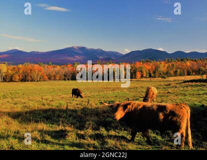 White Mountains in New Hampshire im Herbst Stockfoto