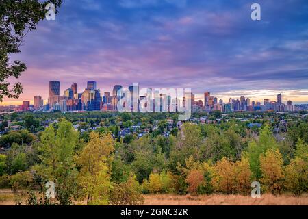 Herbstlaub Framing The Calgary Skyline At Sunrise Stockfoto