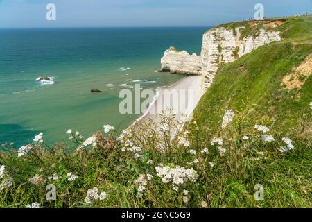 Felsklippen und Kreidefelsen von Etretat, Normandie, Frankreich | Steilküste mit Kreidefelsen in Etretat, Normandie, Frankreich Stockfoto