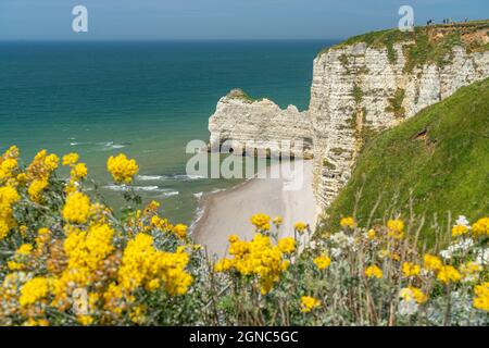 Felsklippen und Kreidefelsen von Etretat, Normandie, Frankreich | Steilküste mit Kreidefelsen in Etretat, Normandie, Frankreich Stockfoto