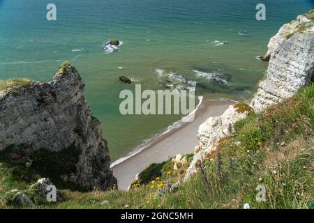 Felsklippen und Kreidefelsen von Etretat, Normandie, Frankreich | Steilküste mit Kreidefelsen in Etretat, Normandie, Frankreich Stockfoto