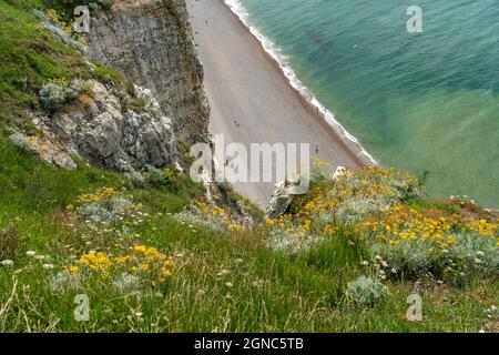 Felsklippen und Kreidefelsen von Etretat, Normandie, Frankreich | Steilküste mit Kreidefelsen in Etretat, Normandie, Frankreich Stockfoto