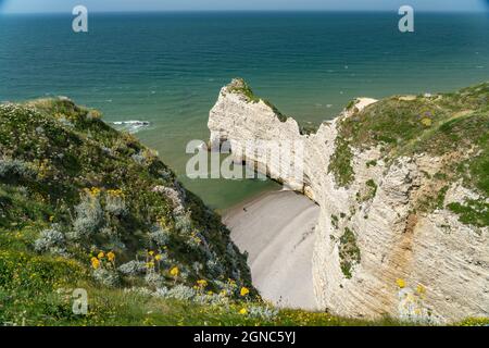 Felsklippen und Kreidefelsen von Etretat, Normandie, Frankreich | Steilküste mit Kreidefelsen in Etretat, Normandie, Frankreich Stockfoto