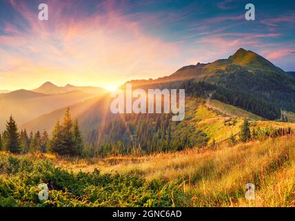 Erstaunlicher Sommeraufgang in den Karpaten. Farbenfrohe Morgenszene mit ersten Sonnenstrahlen, die Hügel und Täler glühen. Schönheit der Natur Konzept backgro Stockfoto