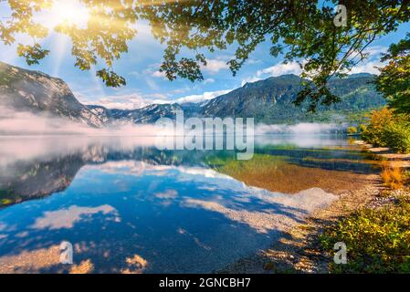 Neblige Sommerlandschaft auf dem Bohinjer See. Sonnige morvivg Szene im Triglav Nationalpark, Slowenien, Julischen Alpen, Europa. Schönheit der Natur Konzept backg Stockfoto