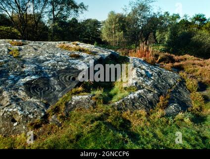 Sehen Sie sich die prähistorische Felskunst in WSW an, darunter zahlreiche Becherungen und Ringmarkierungen auf einer großen Sandsteinkuppel in Roughting Linn, Northumberland, England, Großbritannien. Stockfoto