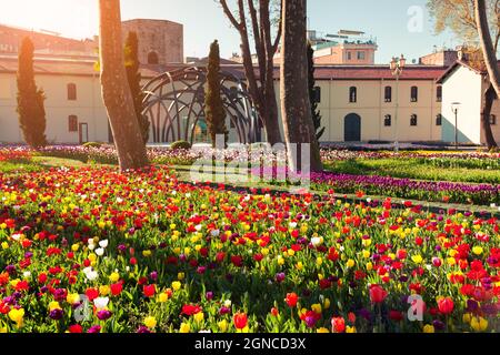 Wunderschöne Tulpen im Gulhane (Rosehaus) Park, Istanbul. Schöne Außenlandschaft in der Türkei, Europa. Sonnenuntergang im Stadtpark. Schönheit der Natur Co Stockfoto