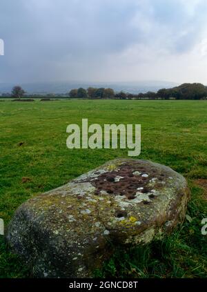 Maen Cattwg-Stein mit Becherkennzeichen NW von Gelligaer, Caerphilly, Wales, Großbritannien, verziert mit bis zu 50 Tassen, zwei davon durch schmale Rillen verbunden. Stockfoto