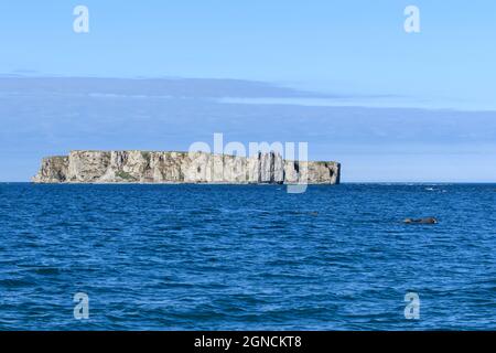 Flache Insel am Meer. Arktische Landschaft im Sommer. Franz Jozef Land Archipel. Stockfoto