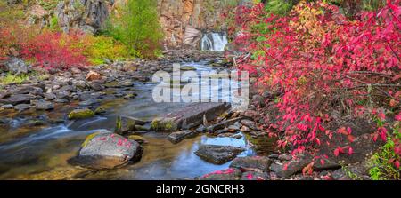 Panorama der Herbstfarben entlang des tenderfoot Creek in der Nähe von weißen Schwefelquellen, montana Stockfoto