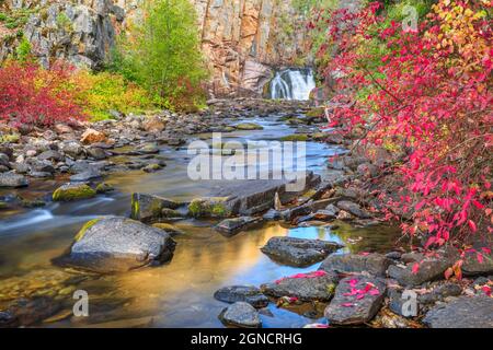 Herbstfarben entlang des Tenderfoot Creek in der Nähe von weißen Schwefelquellen, montana Stockfoto