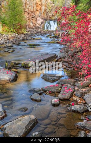 Herbstfarben entlang des Tenderfoot Creek in der Nähe von weißen Schwefelquellen, montana Stockfoto