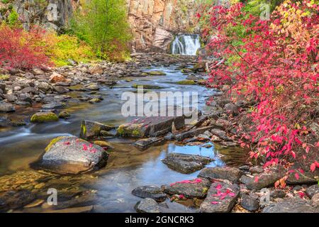 Herbstfarben entlang des Tenderfoot Creek in der Nähe von weißen Schwefelquellen, montana Stockfoto