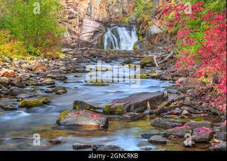 Herbstfarben entlang des Tenderfoot Creek in der Nähe von weißen Schwefelquellen, montana Stockfoto