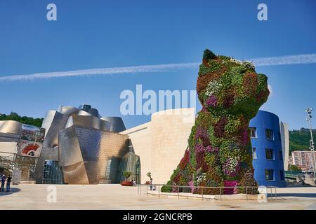 Blick auf den 'Puppy', die berühmte Skulptur von Jeff Koons, im Freien des Guggenheim Museums, Bilbao, Biskaya, Baskenland Stockfoto