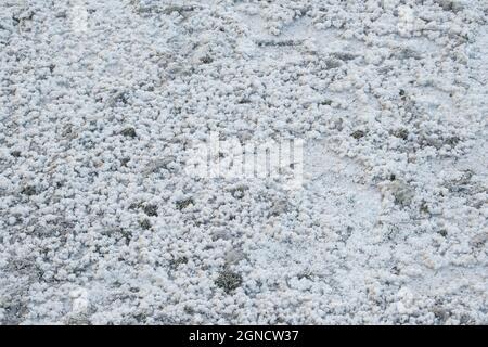 Salzsee, Alyki, Larnaka, Zypern, Europa Stockfoto