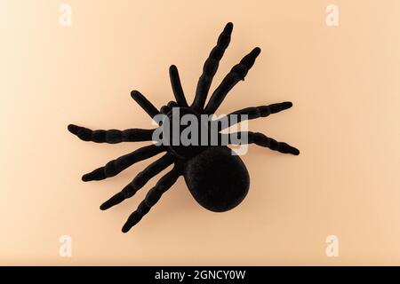 Draufsicht auf eine schwarze Spielzeugspinne isoliert auf beigem Hintergrund. Die Haut der Spinne besteht aus samtartigen Stoffen. Stockfoto