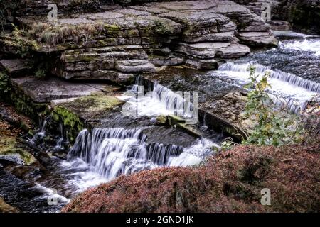 Aysgarth Middle Falls North Yorkshire Großbritannien Stockfoto