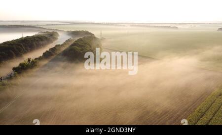 Morgennebel auf dem Feld in der Nähe des Waldes. Herbstmorgen im dichten Nebel Stockfoto
