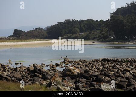 CIES-INSELN, NATIONALPARK MARITIM, TERRESTRISCH DER ATLANTISCHEN INSELN GALICIENS IN SPANIEN Stockfoto