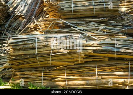 Riesiger Haufen von großen gesägten Baumstämmen Riegel aus dem Wald Stockfoto