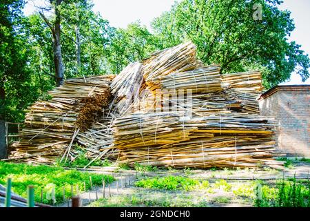 Riesiger Haufen von großen gesägten Baumstämmen Riegel aus dem Wald Stockfoto