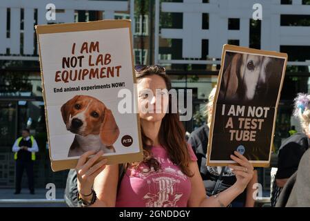 London, Großbritannien. September 2021. Ein Protestler hält während der Demonstration Plakate.Aktivisten versammelten sich vor dem Innenbüro und forderten die Freilassung der Beagles auf dem MBR Acres (Marshall-Bioressourcen) und gegen den Einsatz von Hunden in medizinischen und chemischen Toxizitätstests. Kredit: SOPA Images Limited/Alamy Live Nachrichten Stockfoto