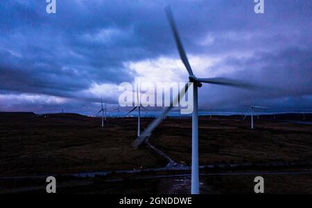 Whitelee Windfarm, Eaglesham, Schottland, Großbritannien. September 2021. IM BILD: Windturbinen drehen und wirbeln im strömenden Abendwind. Es ist der größte Onshore-Windpark im Vereinigten Königreich (zweitgrößter in Europa nach Fântânele-Cogealac in Rumänien) mit 215 Windenergieanlagen von Siemens und Alstom und einer Gesamtleistung von 539 Megawatt (MW), mit durchschnittlich 2.5 MW pro Turbine. Whitelee wurde entwickelt und wird von ScottishPower Renewables betrieben.Quelle: Colin Fisher/Alamy Live News Stockfoto