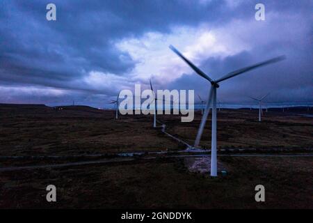 Whitelee Windfarm, Eaglesham, Schottland, Großbritannien. September 2021. IM BILD: Windturbinen drehen und wirbeln im strömenden Abendwind. Es ist der größte Onshore-Windpark im Vereinigten Königreich (zweitgrößter in Europa nach Fântânele-Cogealac in Rumänien) mit 215 Windenergieanlagen von Siemens und Alstom und einer Gesamtleistung von 539 Megawatt (MW), mit durchschnittlich 2.5 MW pro Turbine. Whitelee wurde entwickelt und wird von ScottishPower Renewables betrieben.Quelle: Colin Fisher/Alamy Live News Stockfoto