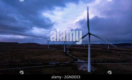 Whitelee Windfarm, Eaglesham, Schottland, Großbritannien. September 2021. IM BILD: Windturbinen drehen und wirbeln im strömenden Abendwind. Es ist der größte Onshore-Windpark im Vereinigten Königreich (zweitgrößter in Europa nach Fântânele-Cogealac in Rumänien) mit 215 Windenergieanlagen von Siemens und Alstom und einer Gesamtleistung von 539 Megawatt (MW), mit durchschnittlich 2.5 MW pro Turbine. Whitelee wurde entwickelt und wird von ScottishPower Renewables betrieben.Quelle: Colin Fisher/Alamy Live News Stockfoto