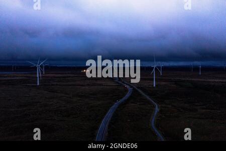 Whitelee Windfarm, Eaglesham, Schottland, Großbritannien. September 2021. IM BILD: Windturbinen drehen und wirbeln im strömenden Abendwind. Es ist der größte Onshore-Windpark im Vereinigten Königreich (zweitgrößter in Europa nach Fântânele-Cogealac in Rumänien) mit 215 Windenergieanlagen von Siemens und Alstom und einer Gesamtleistung von 539 Megawatt (MW), mit durchschnittlich 2.5 MW pro Turbine. Whitelee wurde entwickelt und wird von ScottishPower Renewables betrieben.Quelle: Colin Fisher/Alamy Live News Stockfoto