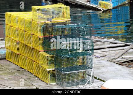 Hummerfallen auf einem Kai in Portland, Maine, USA Stockfoto