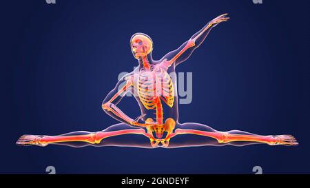 Anatomie eines Tänzers, Illustration Stockfoto