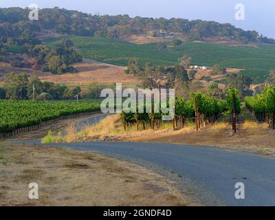 Haus auf einem Weinberg mit schöner Umgebung Stockfoto