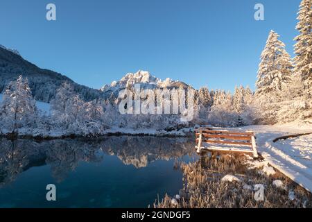 Kalter Wintermorgen am Zelenci-See in Kranjska Gora, Slowenien. Stockfoto