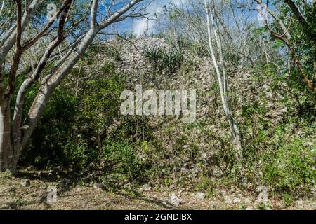 Unrestauriertes Gebäude in der Friedhofstempelgruppe an den Ruinen der alten Maya-Stadt Uxmal, Mexiko Stockfoto